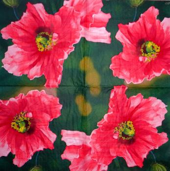 125 Anemonen, Mohn - 3-lagig (blau) - Ihr